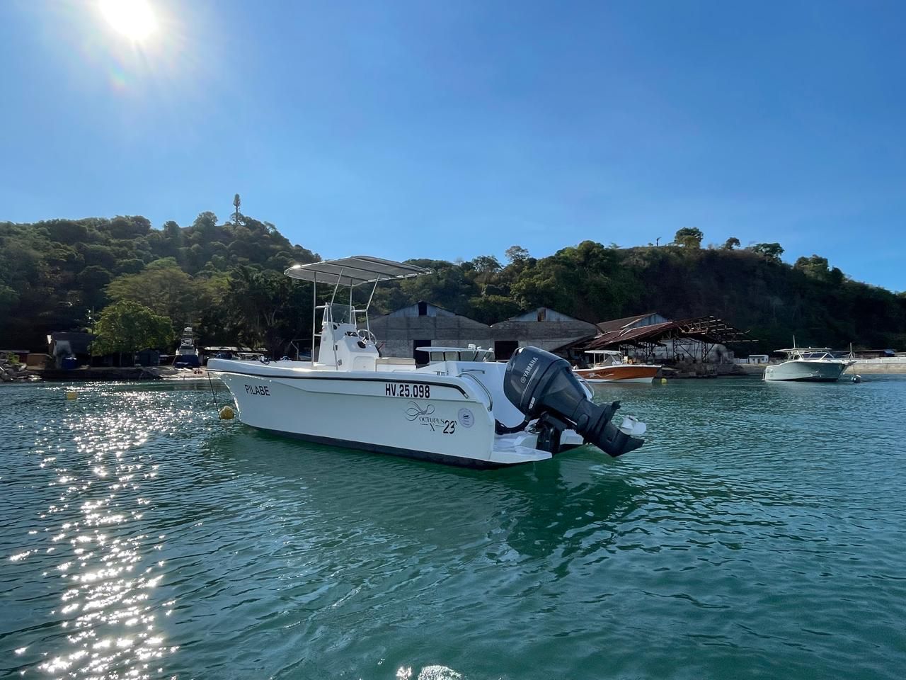 Octopus Yachts 230'